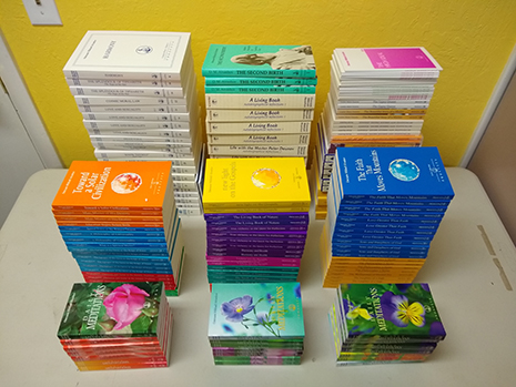Triple Pack&nbsp;<font color=red> - 150+ Items, 60+ Titles</font>